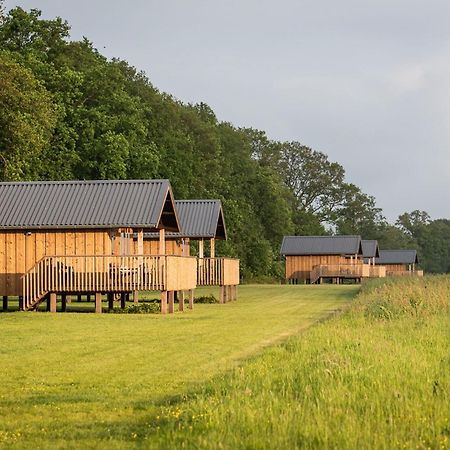 Composite Lodges With Shared Space In Drenthe Ruinerwold Zewnętrze zdjęcie