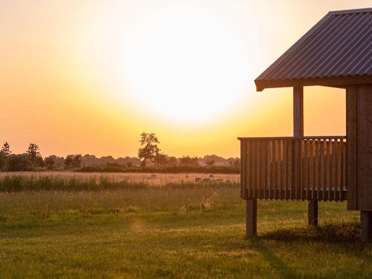 Composite Lodges With Shared Space In Drenthe Ruinerwold Zewnętrze zdjęcie