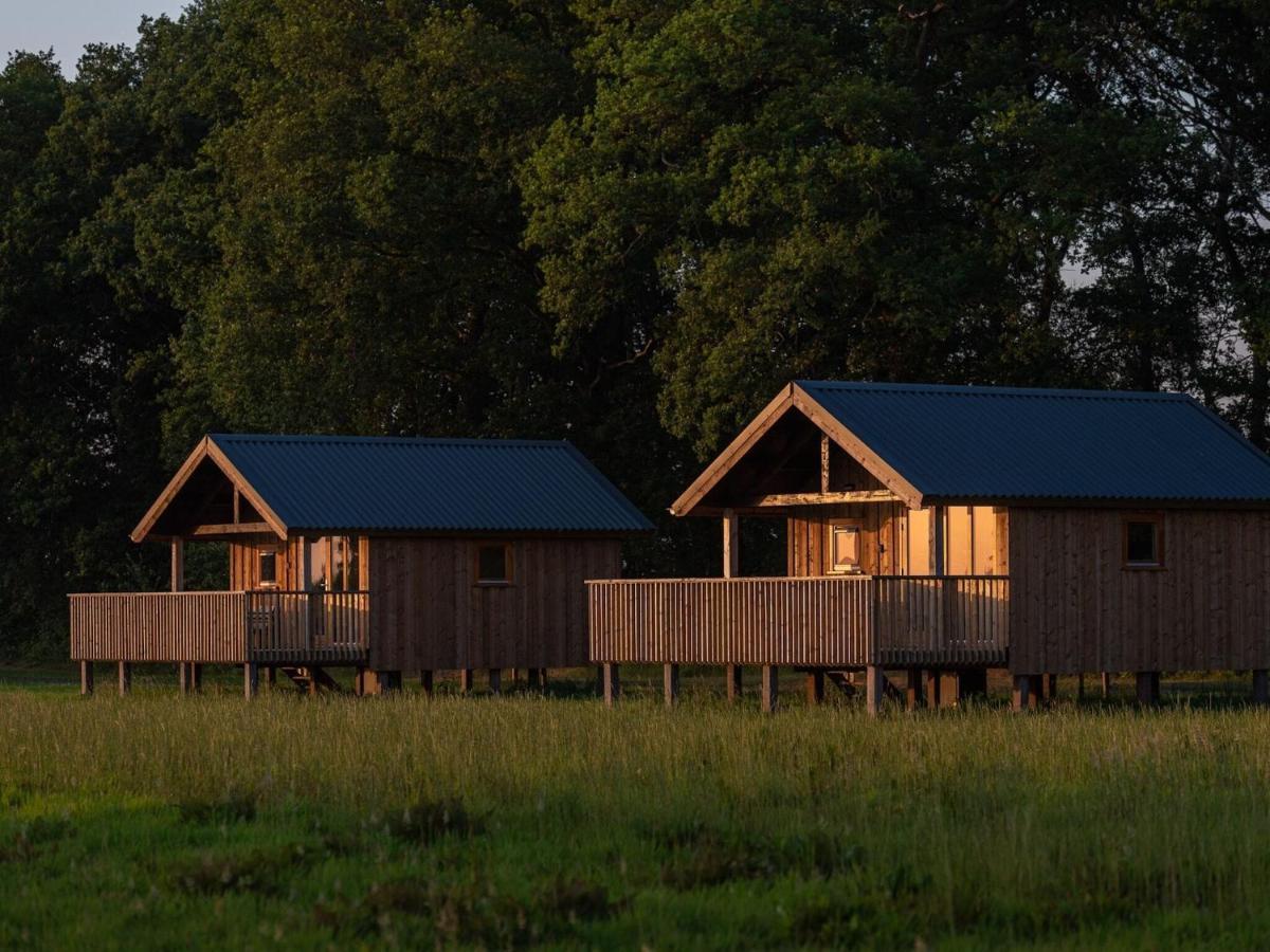 Composite Lodges With Shared Space In Drenthe Ruinerwold Zewnętrze zdjęcie