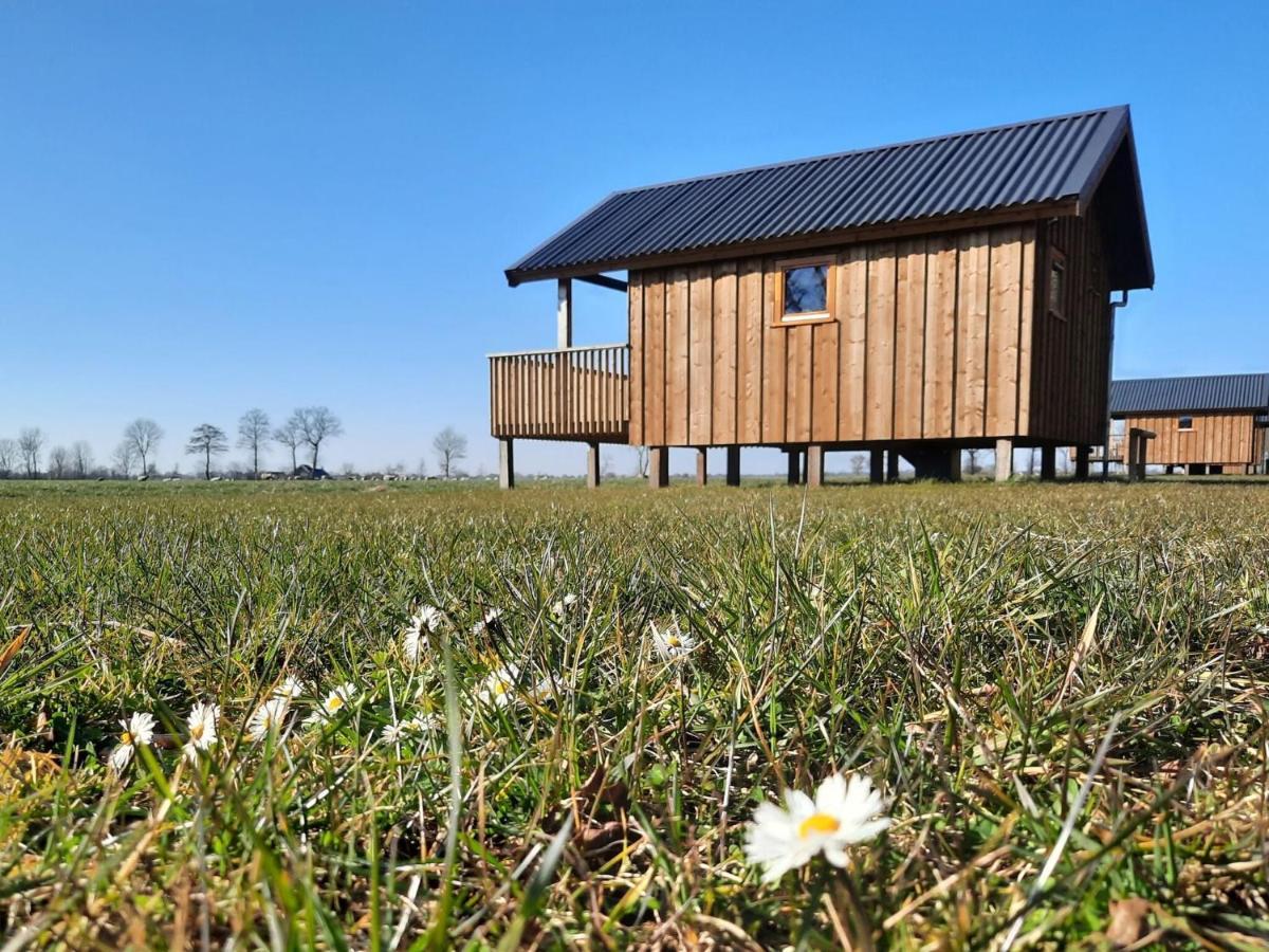 Composite Lodges With Shared Space In Drenthe Ruinerwold Zewnętrze zdjęcie