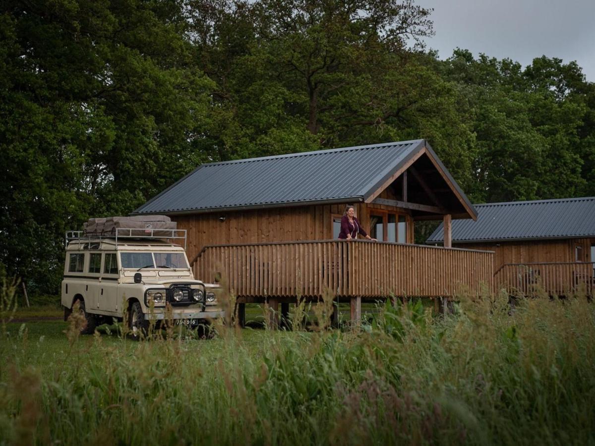 Composite Lodges With Shared Space In Drenthe Ruinerwold Zewnętrze zdjęcie