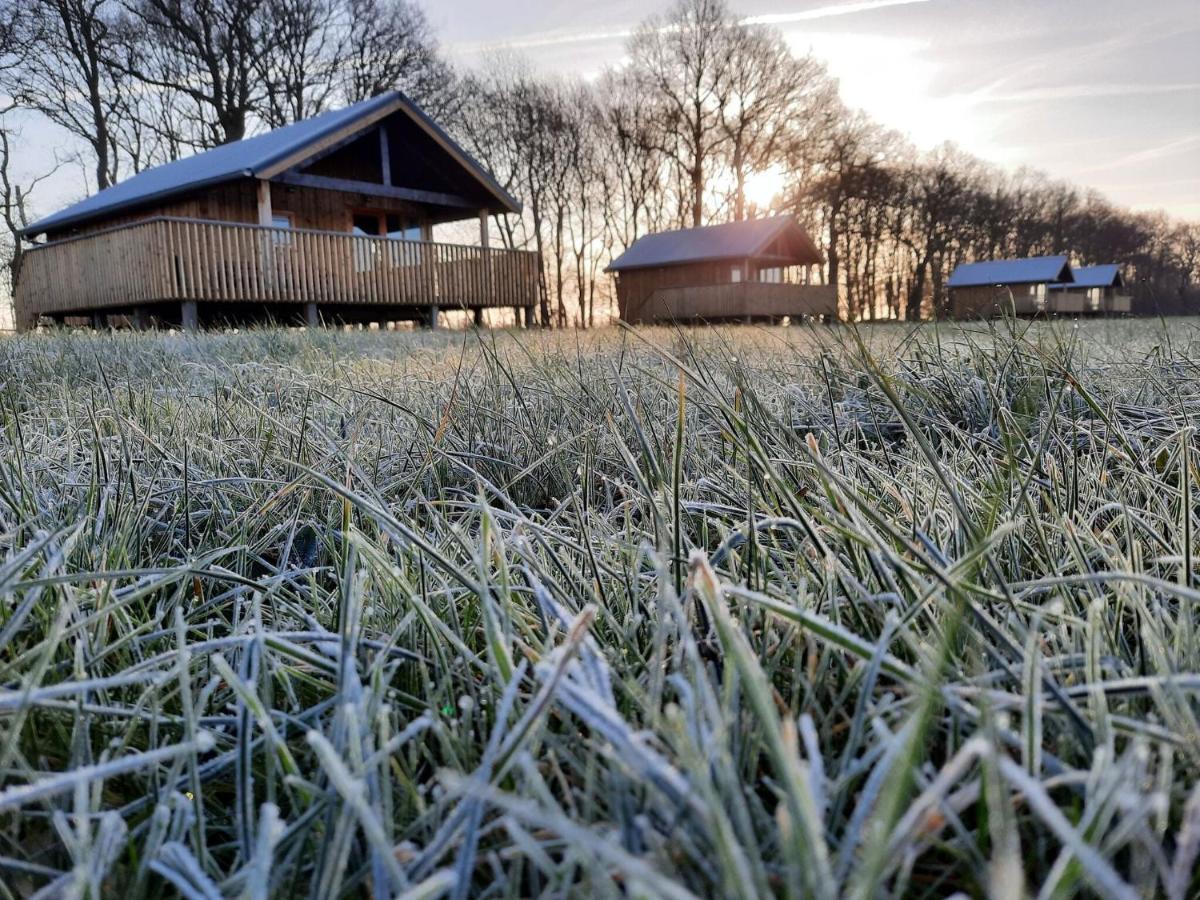 Composite Lodges With Shared Space In Drenthe Ruinerwold Zewnętrze zdjęcie