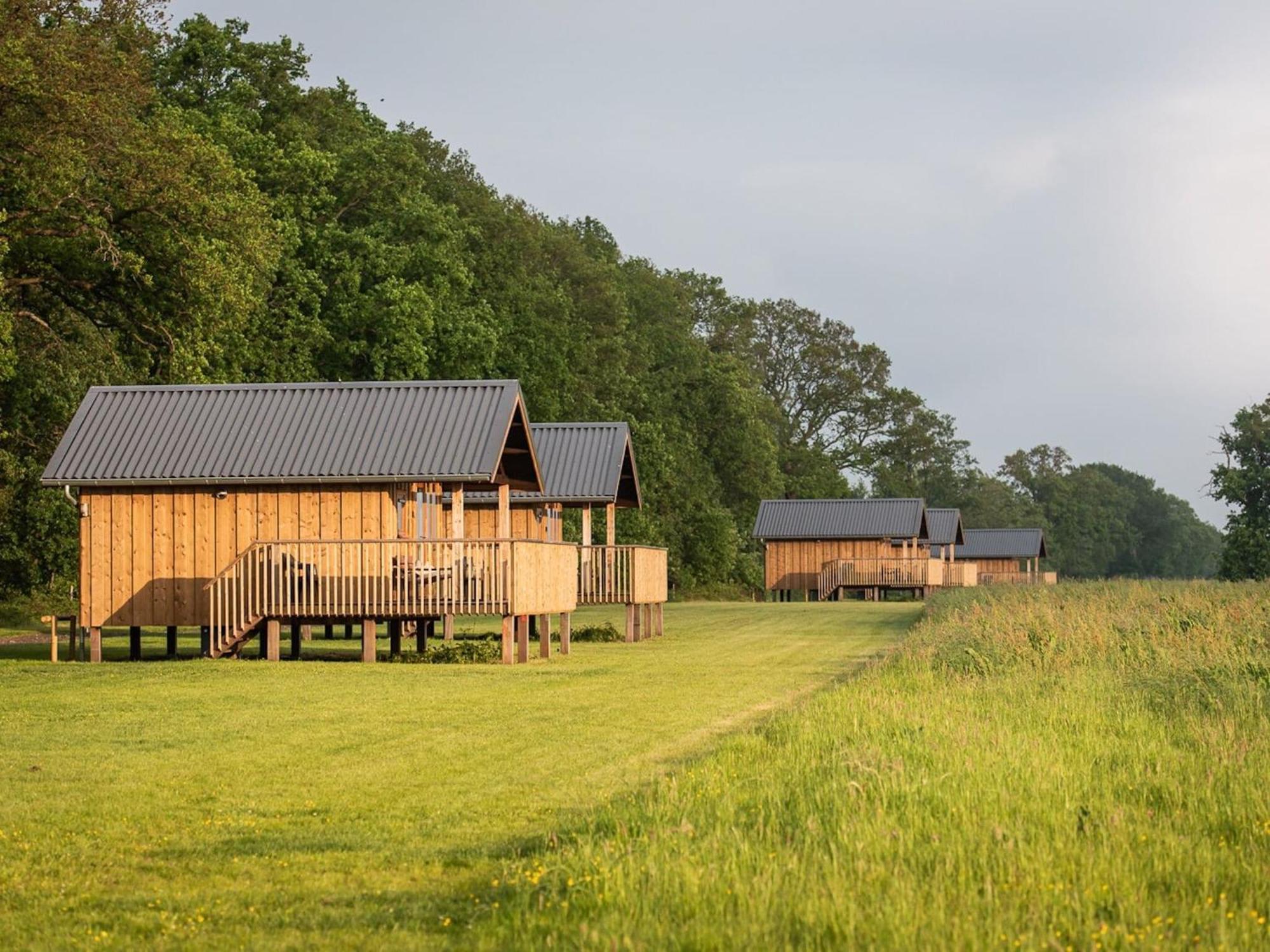 Composite Lodges With Shared Space In Drenthe Ruinerwold Zewnętrze zdjęcie