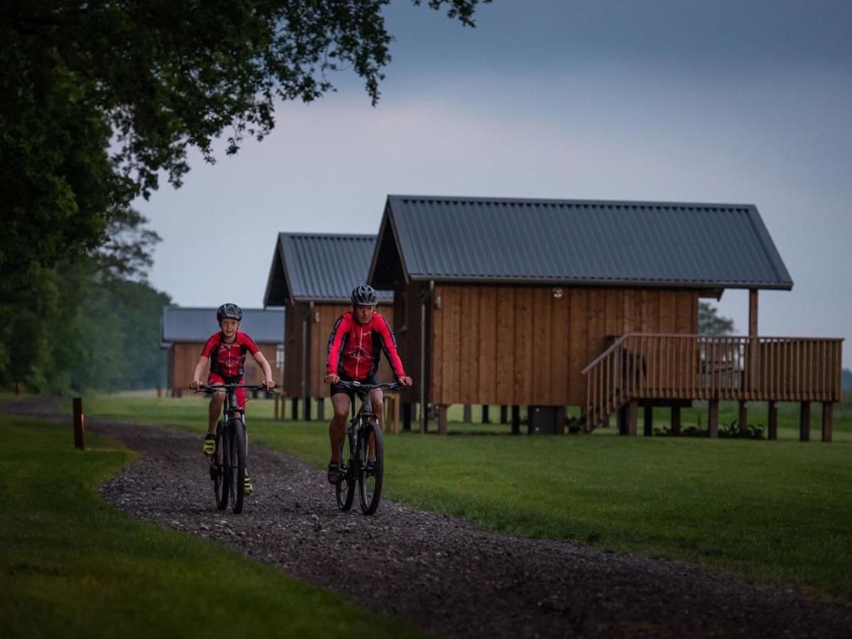 Composite Lodges With Shared Space In Drenthe Ruinerwold Zewnętrze zdjęcie