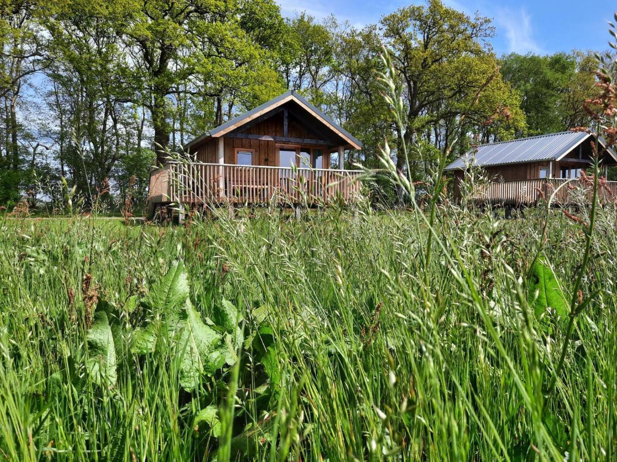 Composite Lodges With Shared Space In Drenthe Ruinerwold Zewnętrze zdjęcie