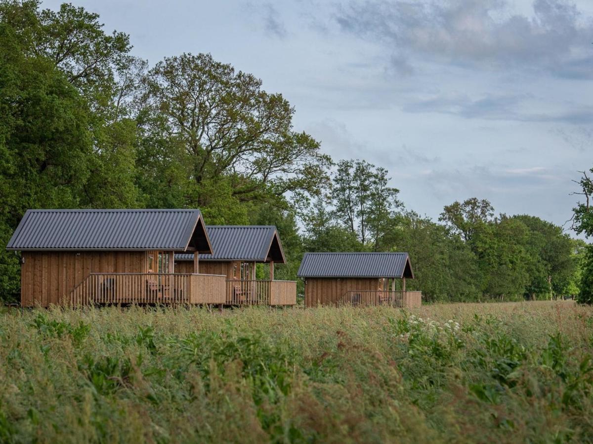 Composite Lodges With Shared Space In Drenthe Ruinerwold Zewnętrze zdjęcie